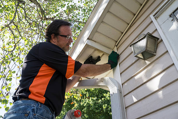 Trusted St Paul, MN Siding Installation & Repair Experts